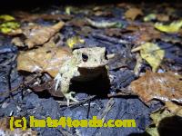 /home//u458753944/public_html/sourcegallery/////////////////////////////McKaig Nature Center/2020-10-11/PA110730.JPG